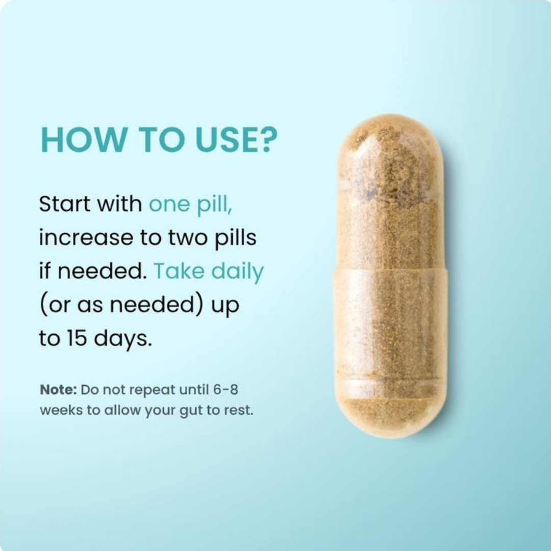 15 Day Cleanse | Gut Support